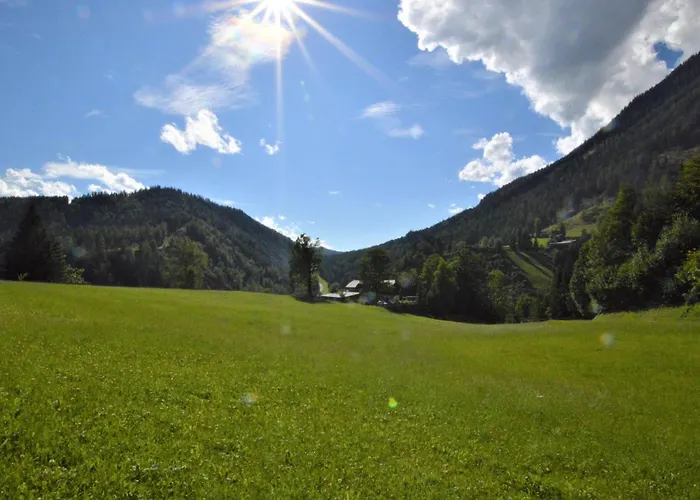 Bienenheim * 斯拉德明